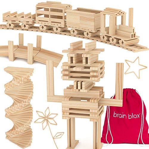 brain blox wooden building blocks