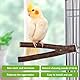 9 Stück Naturholz Vogel Sitzstangen, Natur Sitzstangen Set für Vögel, Vogelspielzeug, Sitzstangen Vögel, Sittichsitzstange, Holzständer, Wellensittichsitzstange für Wellensittich Nymphensittich