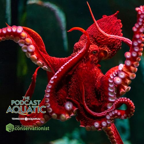 Mic Droplet: Nine Brains Worth of Crazy 🐙 Facts
