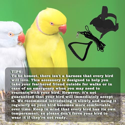 Image of Adjustable Bird Leashes and Harnesses, Bird Nylon Harness with Cute Wing for Parrots, Pet Bird Accessories, Bird Leash for Hang Out, Suitable for Cockatiel, Quaker, Amazon Parrot and Same Size Birds