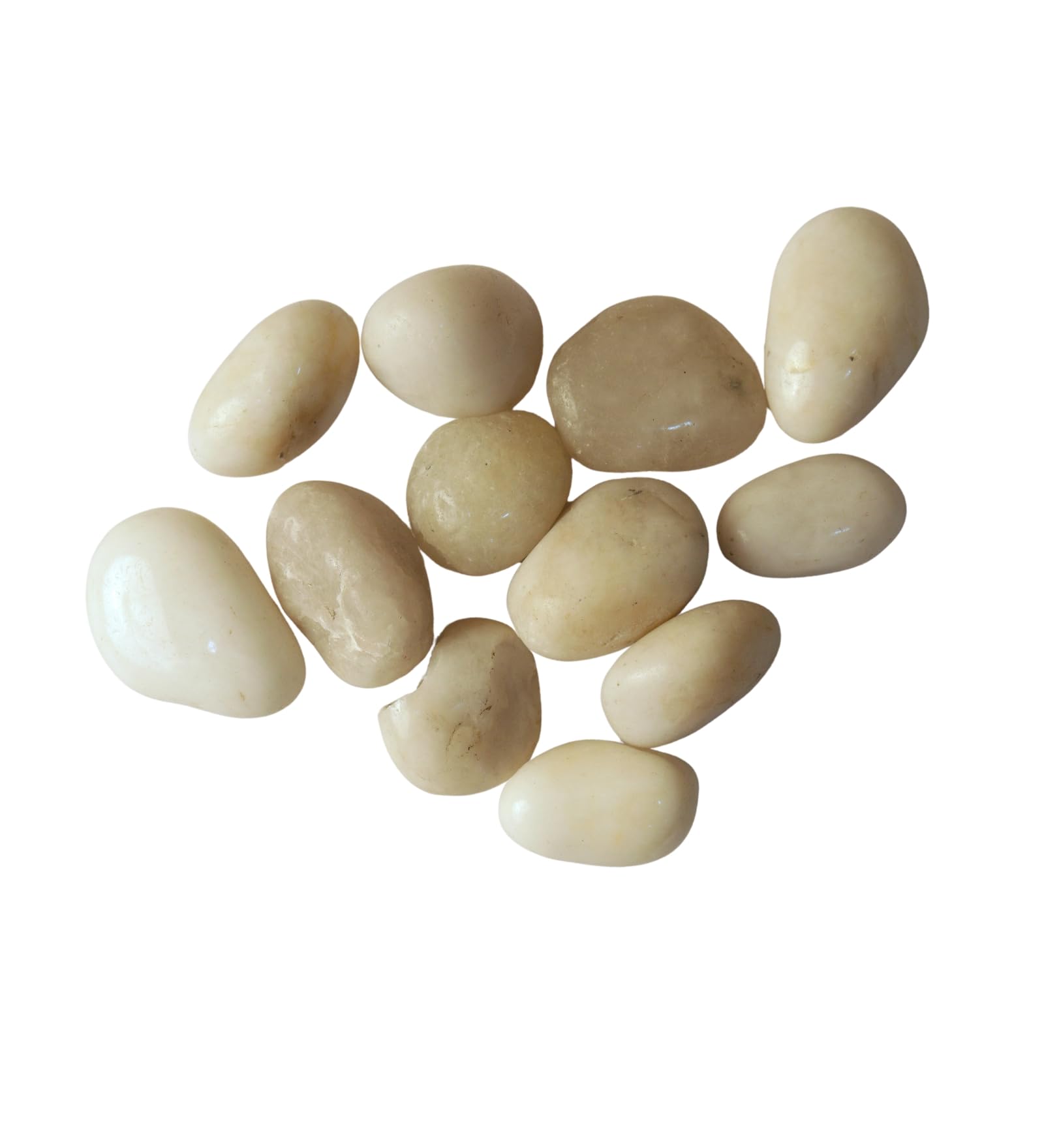 premsons® polished decorative pebbles - white stones - for aquariums garden lawn plant pots vases filler home office decor fish tank - smooth & round river rocks - large size 2.5-4 cm - 1.5 kg pack