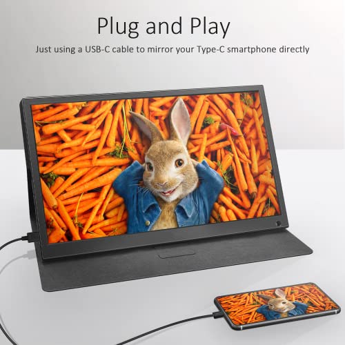 Image of Portable Monitor 13.3 Inch 1080P USB-C HDMI Ultra Slim Travel Monitor with Protective Cover & Speakers, Plug&Play External Screen for Laptop /PC /Phone /Mac