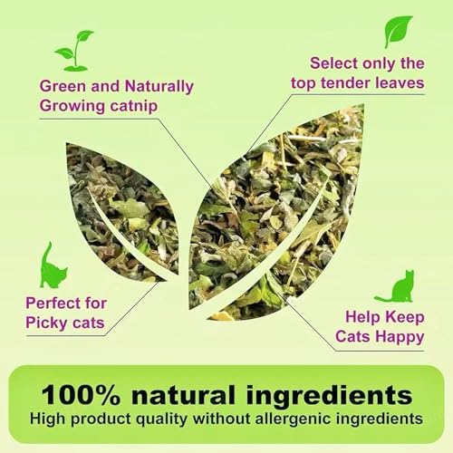 Image of Sunkizzrs Natural & Organic Catnip Jar (160ml) for Cats & Kitten (Non-Addictive & Safe) - Catmint Leaves Used on Toys and Scratchpads - Stimulate Playful Behaviour for Cats & Kittens