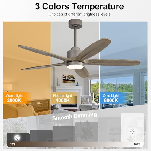 Image of WINGBO 54 inch Ceiling Fan with Light - 5 Carved Solid Wood Blades, 6-Speed Reversible DC Motor, Dimmable, 3CCT, Noiseless Remote Control Ceiling Fans with Lights for Bedroom Living Room, Charcoal Gray