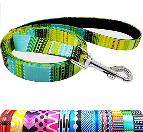 MayPaw Hundeleine aus Nylon, Bedruckt, Blumenmuster, bunt, für Welpen, kleine, mittelgroße und große Hunde, 1,8 m Cover
