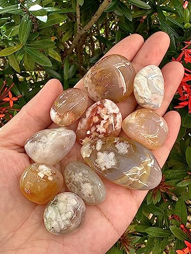 Image of 1 /2 LB Tumbled Stones - Polished Flower Agate Gemstone Healing Crystals