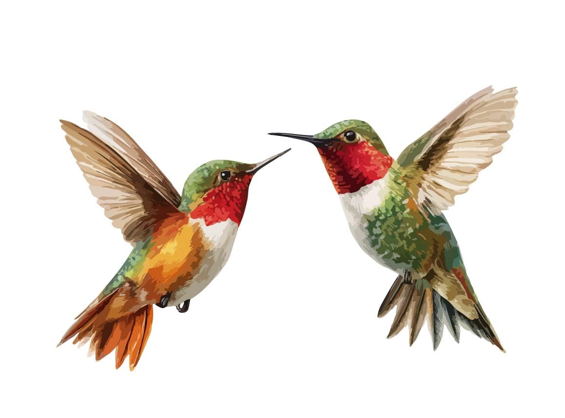 Watercolor Hummingbird Vinyl Stickers – 2 Pack Colorful Decorative Bird Decals for Window, Laptop, Journal & Wall Decor – Waterproof 3 Inch