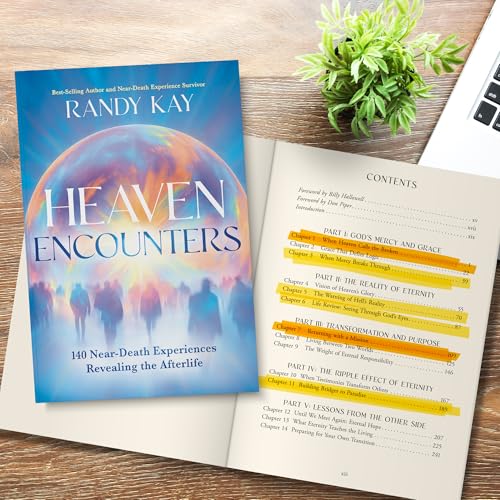 Image of Heaven Encounters: 140 Near-Death Experiences Revealing the Afterlife