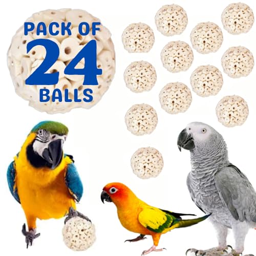See full amazon price history chart for Premium Natural Chew & Shred Sola Wooden Ball Bird Toy for Parrots, Parrotlets, Budgies, Finches, Macaws (Pack of 24 Balls) (Pack of 24 Balls) Premium Natural Chew & Shred Sola Wooden Ball Bird Toy for Parrots, Parrotlets, Budgies, Finches, Macaws (Pack of 24 Balls) (Pack of 24 Balls) (B0CRQMGPKW) Amazon Price History, Amazon Price Tracker