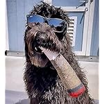 Nestpark doggy doobie - funny dog toys - plush squeaky dog toys for medium, small and large - cute dog gifts for dog birthday - cool stuffed dog toys 11