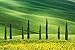 Produktbild VLIES Fototapete-TOSKANA-400x260 cm-8 Bahnen-(213506)-Inkl. Kleister-EASYINSTALL-PREMIUM-Natur Landschaft Italien Bäume Blumen Wald Berge Wand-Dekoration Moderne Motiv-Tapete Bild Panorama Poster
