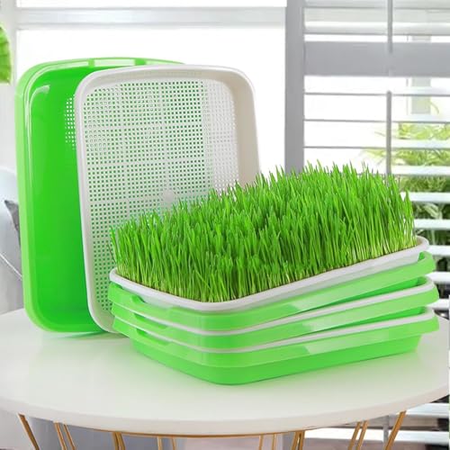 Maraxis Plastic Perforated Tray with Removable Base Tray, Rectangular Double-Layer Design, Green and White (4PCS)