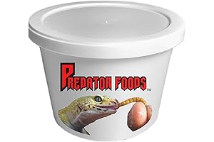 Premium Live Horn Worms - Nourishing Treats for Healthy Reptile Growth