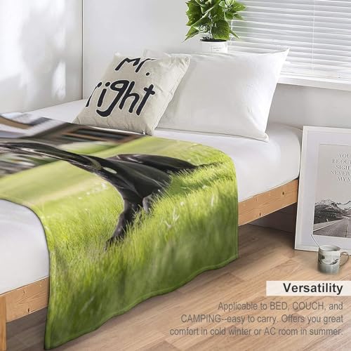 Couverture de balcon et camping plaid flannel chien doux 130x180cm pour maison
