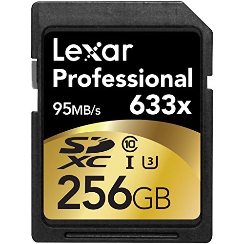 Lexar Professional 633x 256GB SDXC...