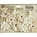 Petaloo Darjeeling Teastained Dahlia Flowers, Cream, 10-Pack