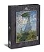 Ulmer Puzzleschmiede - Puzzle Claude Monet, Femme à l'ombrelle - Puzzle 1000 Pezzi - Il Famoso Dipinto di Claude Monet (1875)