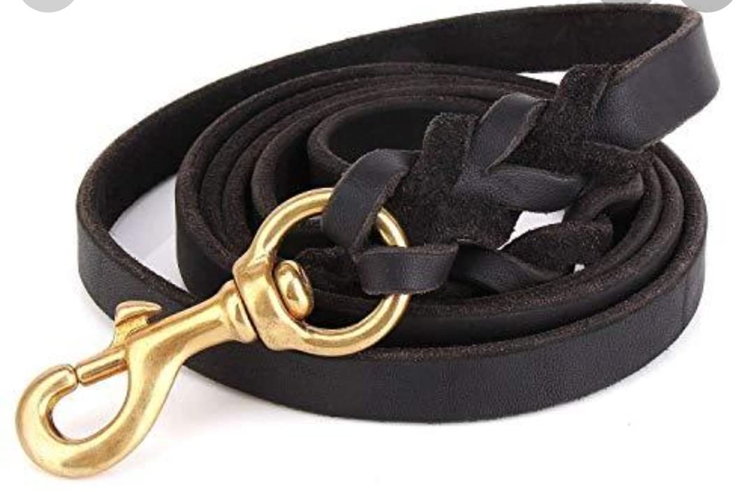 ARS Leather Dog Leash 10 FT (B07YN3RJXQ) Amazon Price History, Amazon Price Tracker