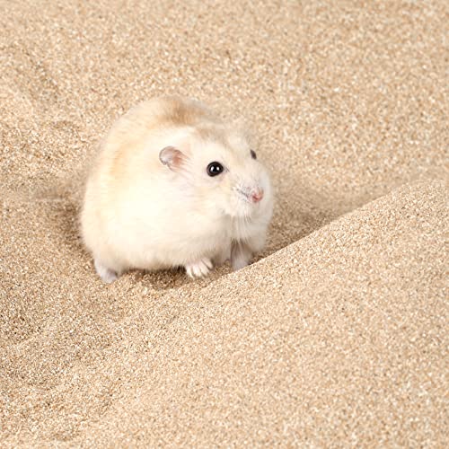 Image of BUCATSTATE Hamster Sand, No-Dust 3.3LB Chinchilla Dust Bath with Pour Spout, 100% Natural Desert Bathing Sand for Syrian Hamster Gerbil Rat Mice Small Animals (Fine Sand)