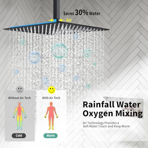 Image of SR SUN RISE 16 Inch Ceiling Mount Rain Shower System,Matte Black