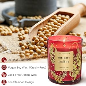 M&SENSE Holiady Scented Candle Gift for Women and Men - Cinnamon Scent, 10 oz Soy Wax, Birthday Gift,Holiday Gift,Christmas Gift,New Year Gift MSENSE Holiady Scented Candle Gift for Women and Men Cinnamon Scent 10 oz Soy Wax Birthday GiftHoliday GiftChristmas GiftNew Year Gift