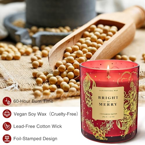 MSENSE-Holiady-Scented-Candle-Gift-for-Women-and-Men-Cinnamon-Scent-10-oz-Soy-Wax-Birthday-GiftHoliday-GiftChristmas-GiftNew-Year-Gift MSENSE Holiady Scented Candle Gift for Women and Men Cinnamon Scent 10 oz Soy Wax Birthday GiftHoliday GiftChristmas GiftNew Year Gift