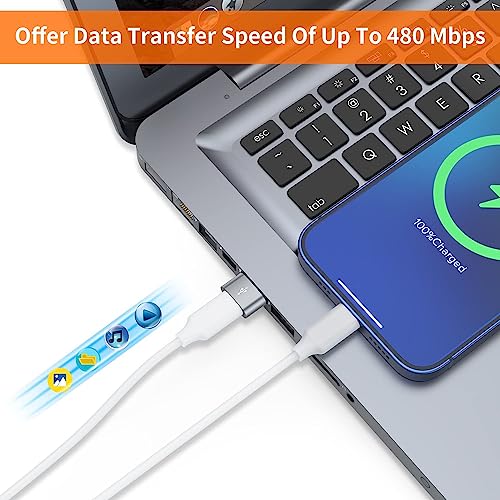 Image of Crasts USB Type C USB Type C Female to USB Male Adapter Connector Converter Works with Laptops,Chargers Compatible for iPhone, Airpods, iPad, Samsung Galaxy, Google Pixel (Pack of-2) (Silver)