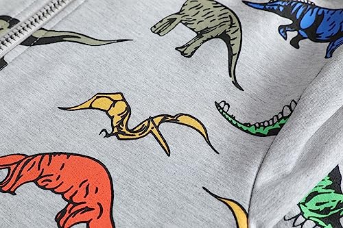 Unisex Child Full Zip Hoodie Sweatshirt Hoodies For Teen Boys Toddler Lightweight Zip Up Hooded (Grey, 9-10 Years)3