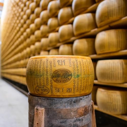 EMILIA FOOD LOVE Parmigiano Reggiano DOP whole and half cheese wheels - The Only Parmesan - Selected with love in Italy (1/2 Cheese Wheel (Disk), 18 Months)