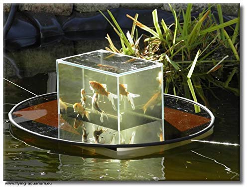 Flying-Aquarium-Oval©\