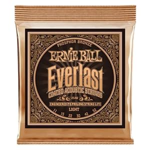 Ernie Ball Everlast Phosphor Bronze Akustik-Gitarrensaiten