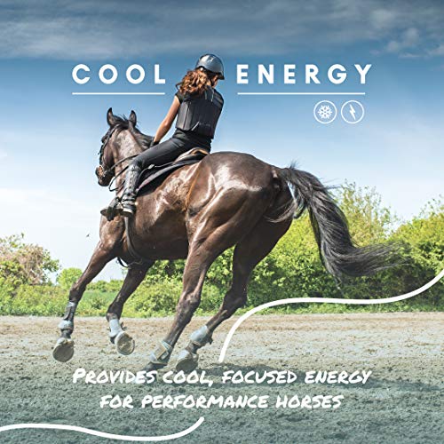 Manna Pro 1000085 Cool Calories 100 | Equine Dry Fat Supplement thumb #3