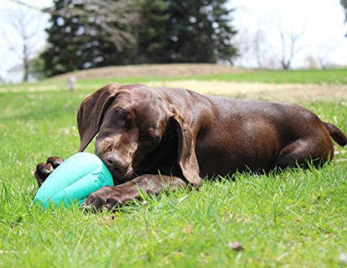Chew-King-Premium-Treat-Dog-Toy-XL-Extremely-Durable-Natural-Rubber-Toy-Pack-of-2-All-Breed-Sizes