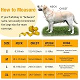 Pack of 2 Blaze Orange Dog Vest, Reflective Vest for Hunting, High Visibility Safety Vest, Soft & Adjustable Reflective Dog Jacket for Walking Hunting Vest - S