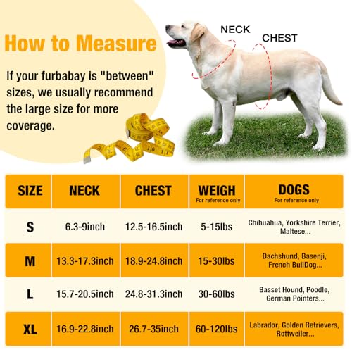Pack of 2 Blaze Orange Dog Vest, Reflective Vest for Hunting, High Visibility Safety Vest, Soft & Adjustable Reflective Dog Jacket for Walking Hunting Vest - S
