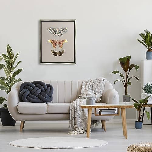Image of Vintage Moth Specimens Nature, 24 x 30 Inch Canvas in Floater Frame