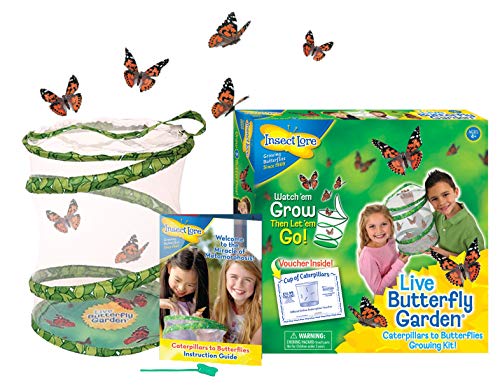 Insect Lore Butterfly Garden with Pre-paid Caterpillar Voucher