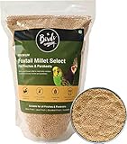 The Birds Company Foxtail Millet (Kangni), Bird Food for All Life Stages Canary, Finches, Waxbills, Budgies, Lovebirds, Cockatiels, Parrots & Parakeets, 450 g