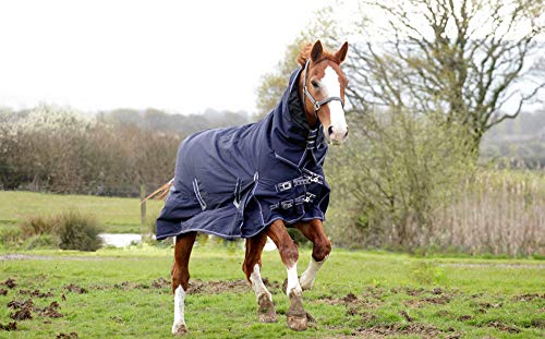 Rhinegold 0 Full Neck Arizona - Mediumweight 100gsm Polyfill Outdoor Rug, Navy, 6 UK