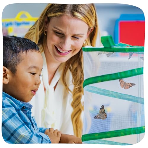 Insect Lore Raise and Release Butterfly Garden Kit – Caterpillar Habitat with redeemable Voucher – STEM-accredited Butterfly Growing Kit for Kids, Classrooms, and Homeschool Learning - Image 5
