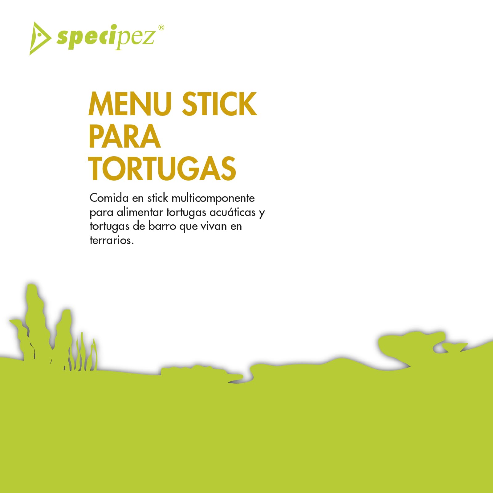 Menu DE Tortuga (3.7 LT 1.2 KG)