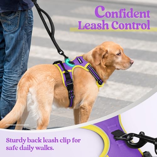 Image of rabbitgoo Dog Harness No Pull with 2 Leash Clips, Adjustable Soft Padded, Reflective Oxford No Choke Pet Vest with Easy Control Handle for Medium Sized Dogs, Purple & Yellow, M