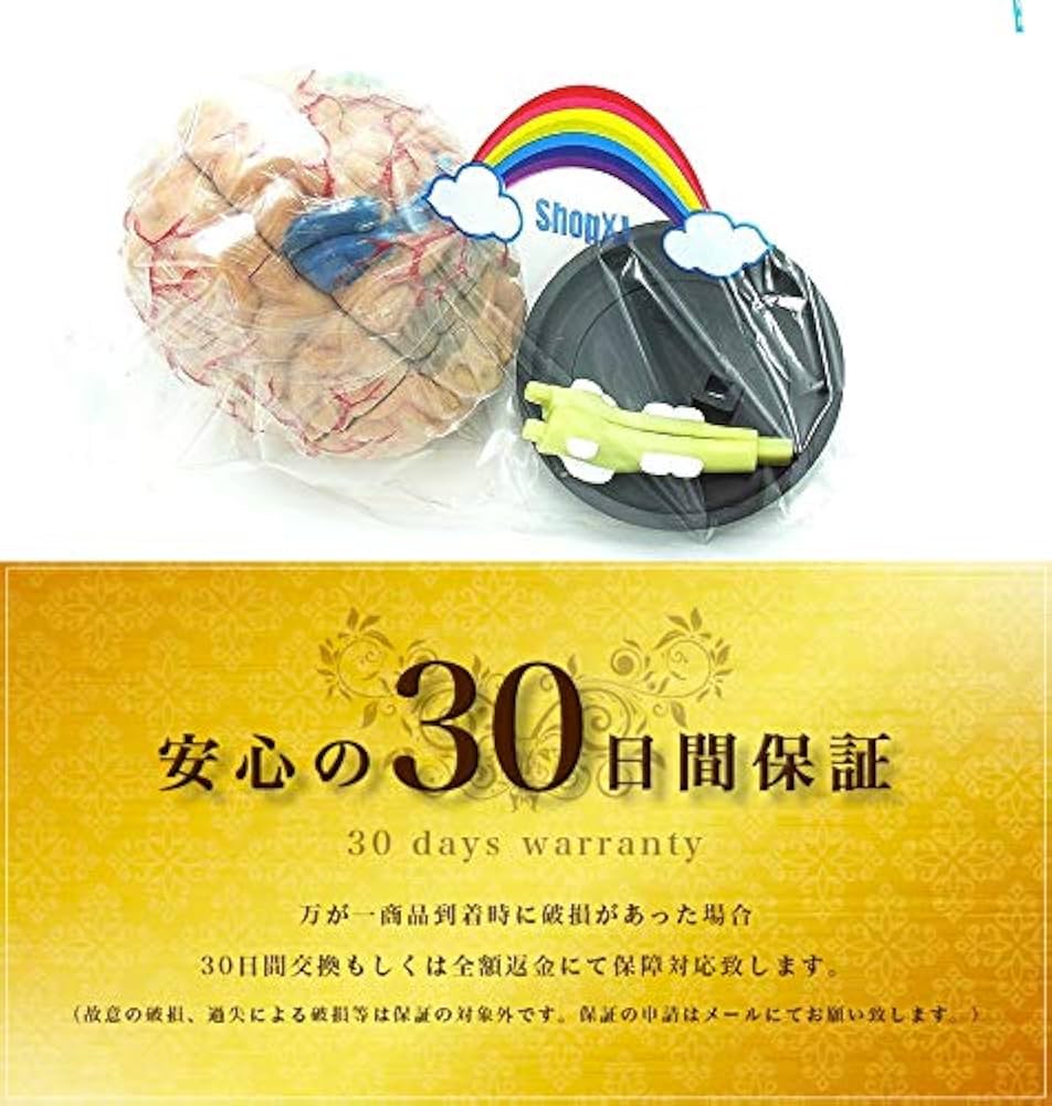 【まとめ買い】単品購入も可能 医学・解剖学関連書籍セット まとめ買い】単品購入も可能 医学・解剖学関連書籍セット