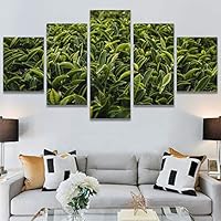 SIGNWIN 5 Panel Canvas Wall Art Modern Art Abstract Closeup Industrial Modern Art Multicolor Patterns for Home Decorations Ready to Hang - 60