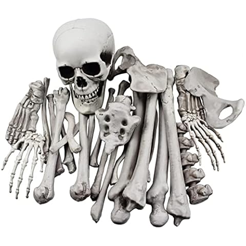 XONOR 28 Pieces Skeleton Bones and Skull for Halloween Decor or Spooky Graveyard Ground Decoration Cover