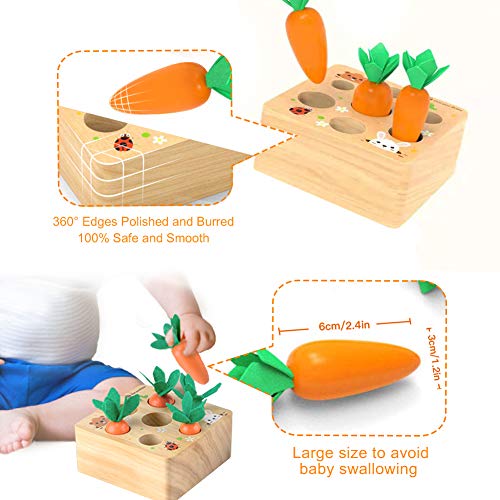 Ancaixin Montessori Toys For Babies 6-12 Months, Wooden Toys For 1 Year Old Boys And Girls, Educational Carrot Harvest Toy For Toddlers, Shape Sorting Matching Puzzle, Developmental Birthday Gifts #TOP3