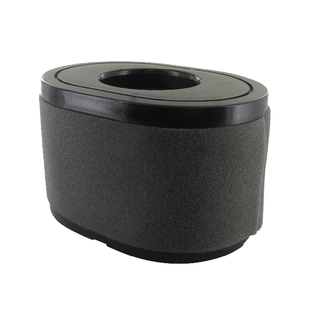 Filtre à air pour Loncin LC2P77F protection moteur maximale contre la poussière de tonte