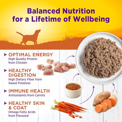 Image of Wellness Complete Health Pate Adult Canned Wet Dog Food, Wholesome Grains, Natural, Turkey and Sweet Potato, 12.5 oz, Pack of 12 Cans