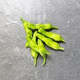 Organic Shishito Sweet Pepper Seeds 500mg ~250 Seeds – Non-GMO, Heirloom, Mild Pepper for Grilling, Stir-Fry, Container Gardening, High Yield, Open-Pollinated, USA Packaged