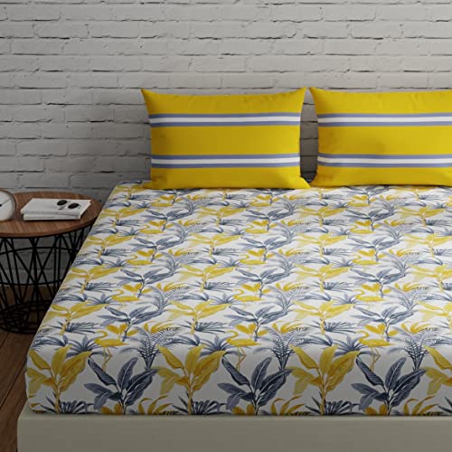 Huesland by Ahmedabad Cotton 144 TC Cotton Bedsheets for King Siz...